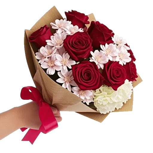 Crimson Rose Elegance