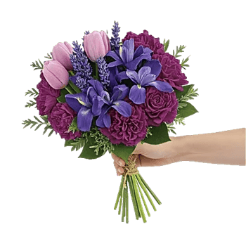 Velvet Tulip Display