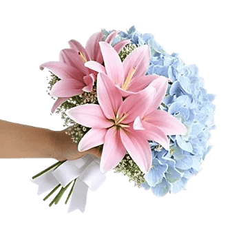 Serene Petal Harmony