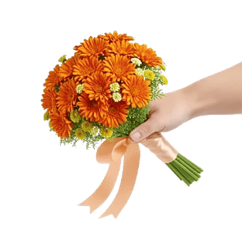 Vibrant Orange Delight