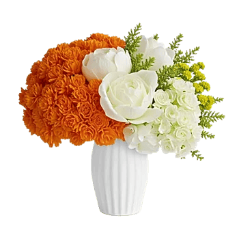 Petal Radiance Bliss