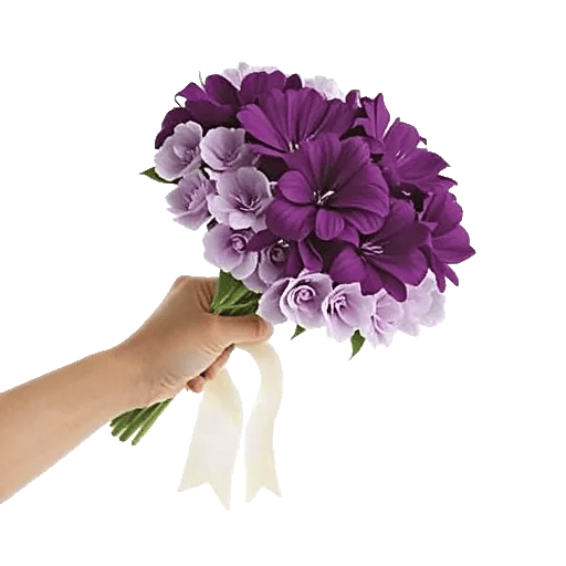 Petal Softness Display