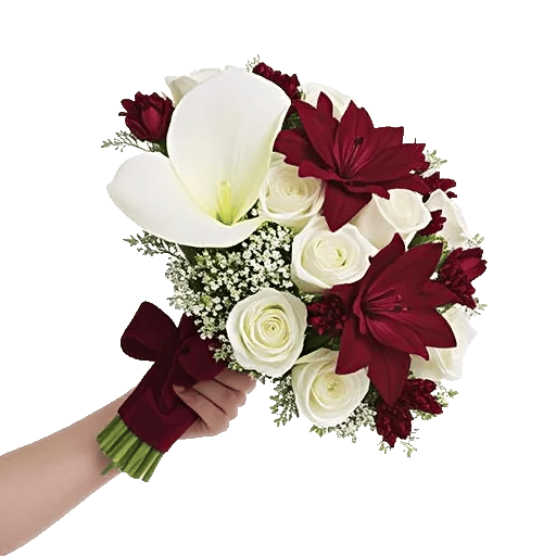 Elegant Calla Lilies