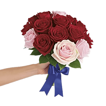 Crimson Rose Elegance