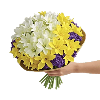 Ivory Garden Grace