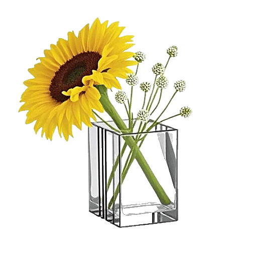 Radiant Bloom Cascade