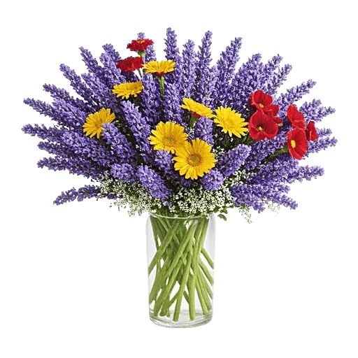 Lavender Bloom Grace