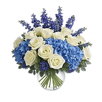 Sapphire Bloom Whisper