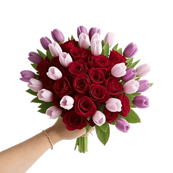 Crimson Rose Elegance