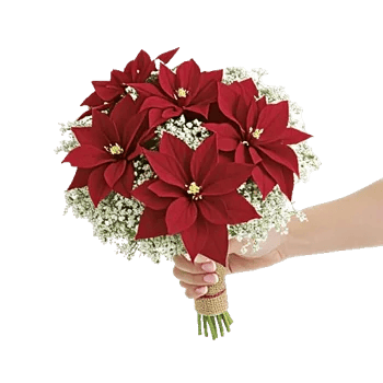 Delicate Petal Cascade