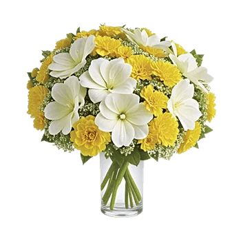 Ivory Blossom Radiance