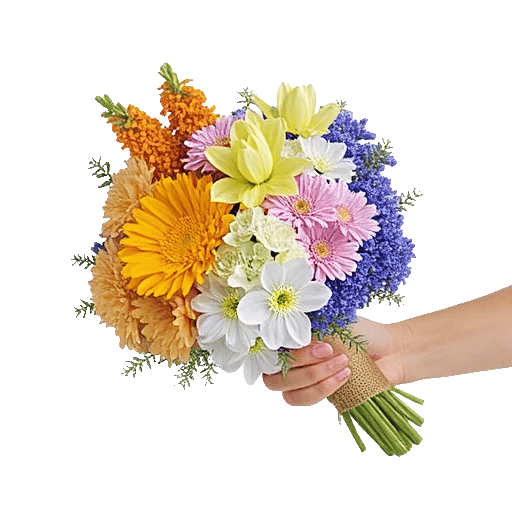 Petal Harmony Bliss