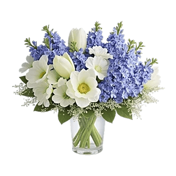 Ivory Blossom Radiance
