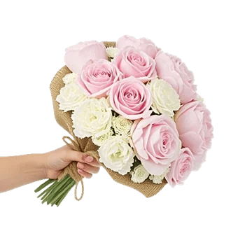 Pastel Pink Roses