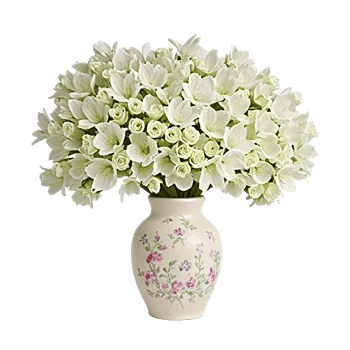 Ivory Blossom Radiance