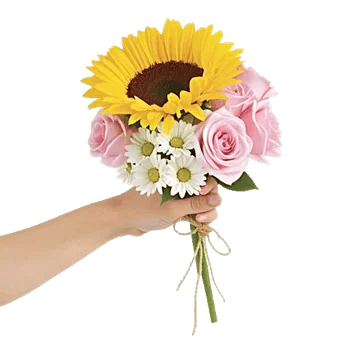 Twinkling Sunflower Dance