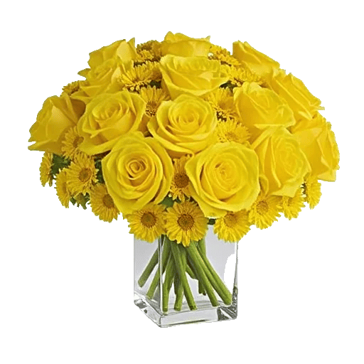 Radiant Bloom Cascade