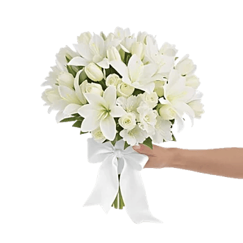 Minimalist White Orchids