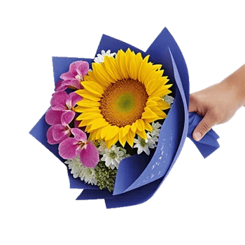 Tropical Sunflower Burst