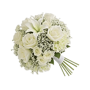 Ivory Garden Grace