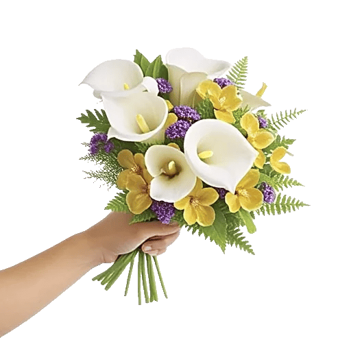 Elegant Calla Lilies