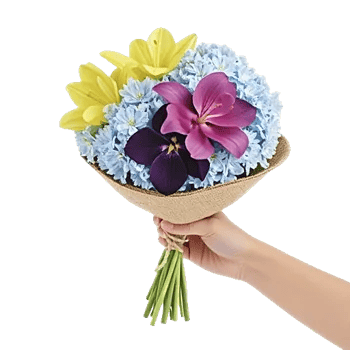 Blossom Harmony Display