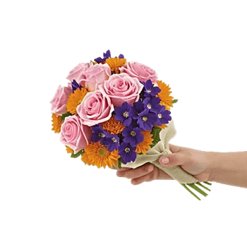 Pastel Pink Roses