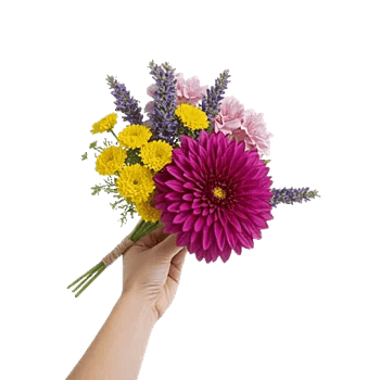 Crimson Blossom Harmony