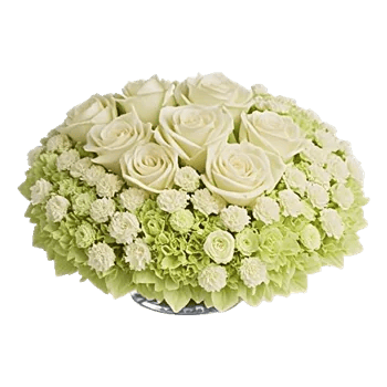 Delicate Petal Cascade