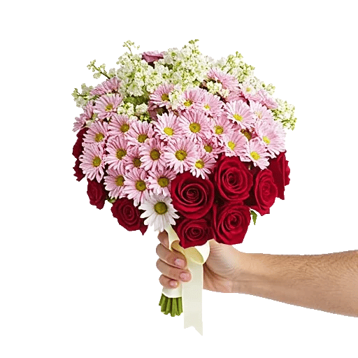 Blossom Harmony Display