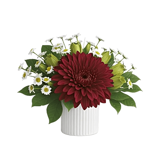 Ruby Petal Cascade