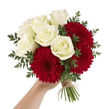 Petal Grace Harmony