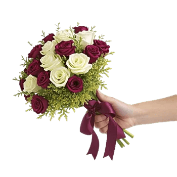 Plum Blossom Radiance