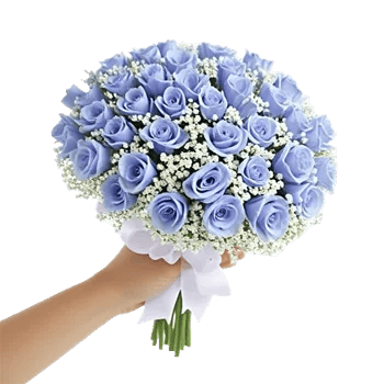 Blossom Petal Serenity