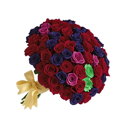 Crimson Rose Elegance