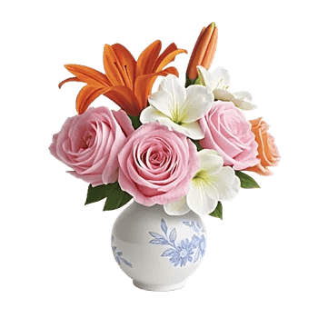 Radiant Rose Symphony