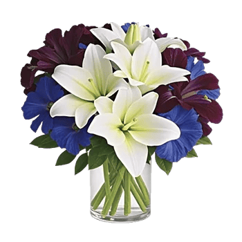 Ivory Blossom Radiance