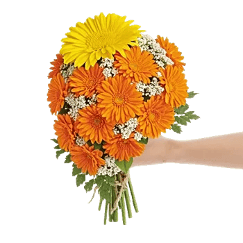 Delicate Petal Cascade