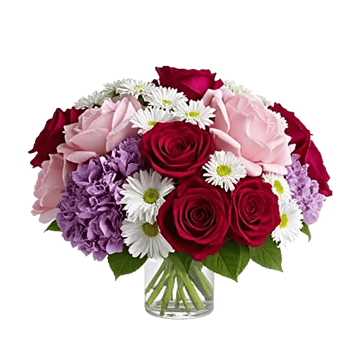 Petal Radiance Bliss