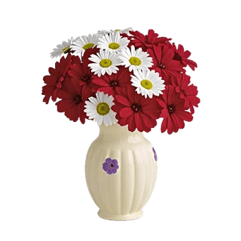 Ivory Blossom Radiance