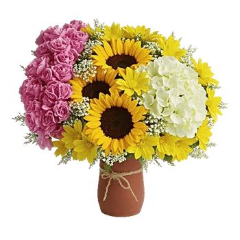 Petal Radiance Bliss