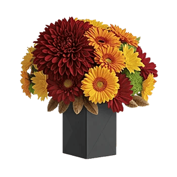 Radiant Bloom Cascade