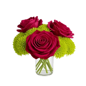 Crimson Blossom Harmony