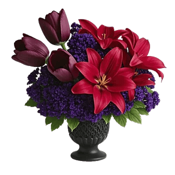 Velvet Tulip Display