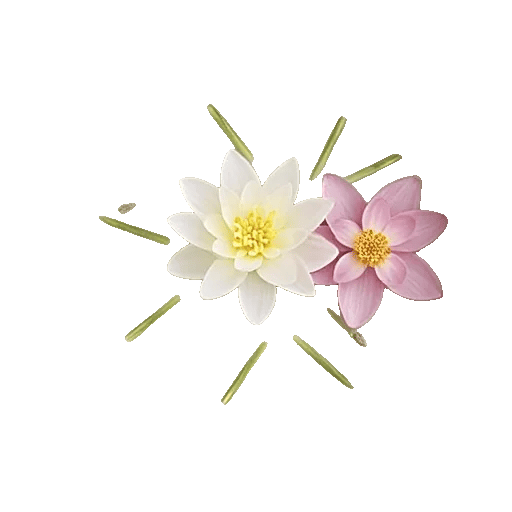 Ivory Blossom Radiance