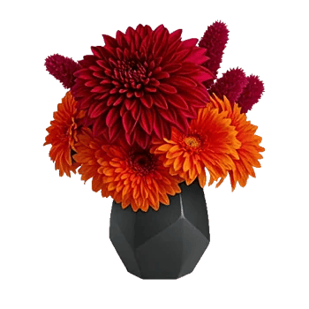 Crimson Blossom Harmony
