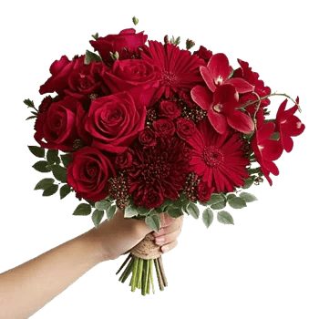 Crimson Rose Elegance