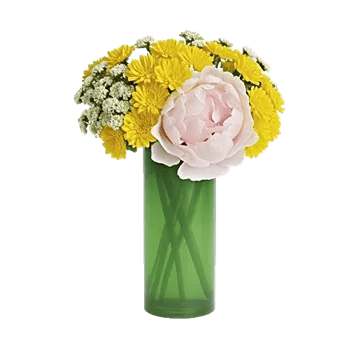 Ivory Blossom Radiance