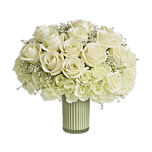 Ivory Blossom Radiance