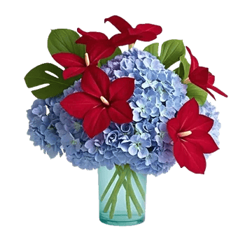 Petal Radiance Bliss